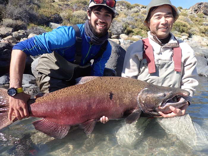 .Seaトラウトブローチ(パタゴニアキングサーモン/ウッド製）１点物 2020パタゴニア・キングサーモン遠征準備：ルアー : つるつる宮古島